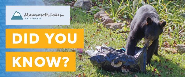 TOML_DYK_website_600x251_10OCT