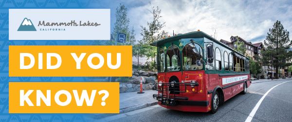 TOML_DYK_website_600x251_October_FINAL