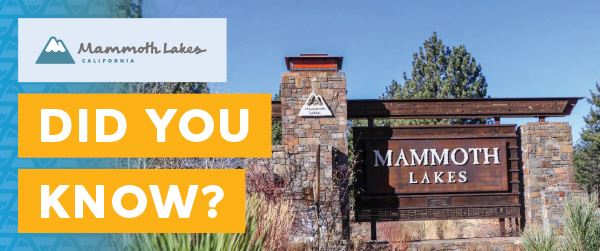 TOML_DYK_website_600x251_May_FINAL