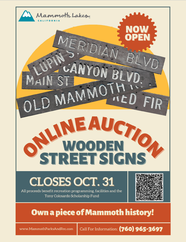 Street Sign Online Auction Flyer