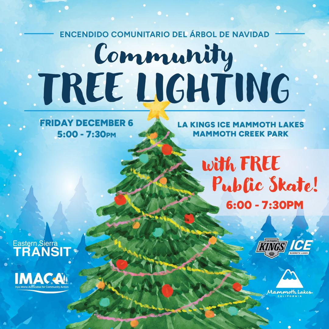 TOML_Tree_Lighting_1080x1080_R1