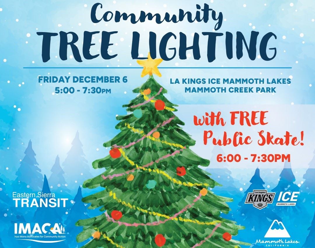 TOML_Tree_Lighting_NewsFlash