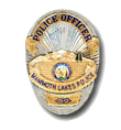 Police Badge