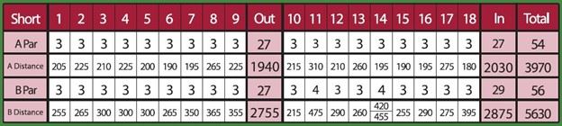 Disc Golf Tee Sheet Short Course