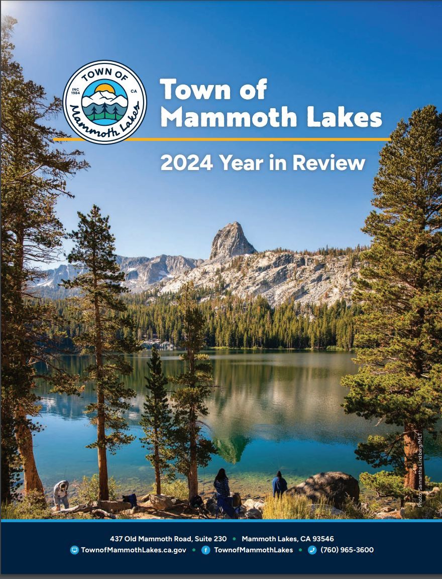 2024 YIR cover image